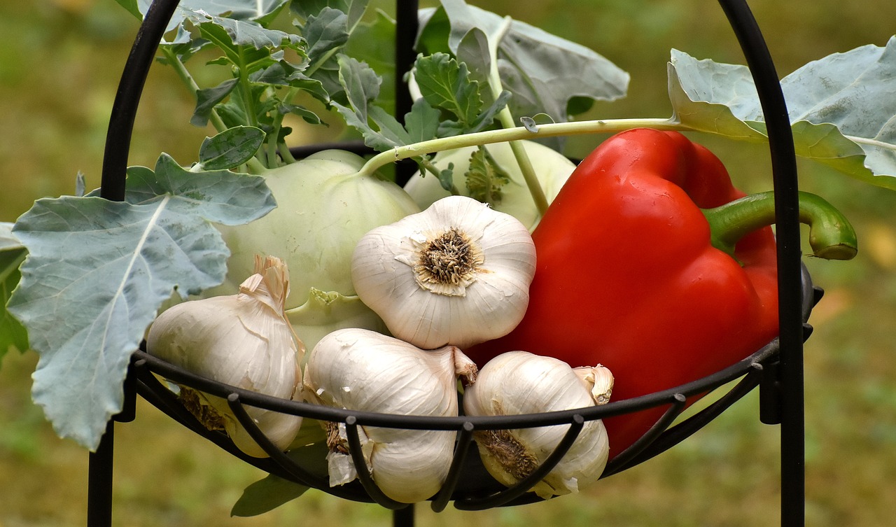 Vegetable Gardening for Beginners: Tips and Tricks
